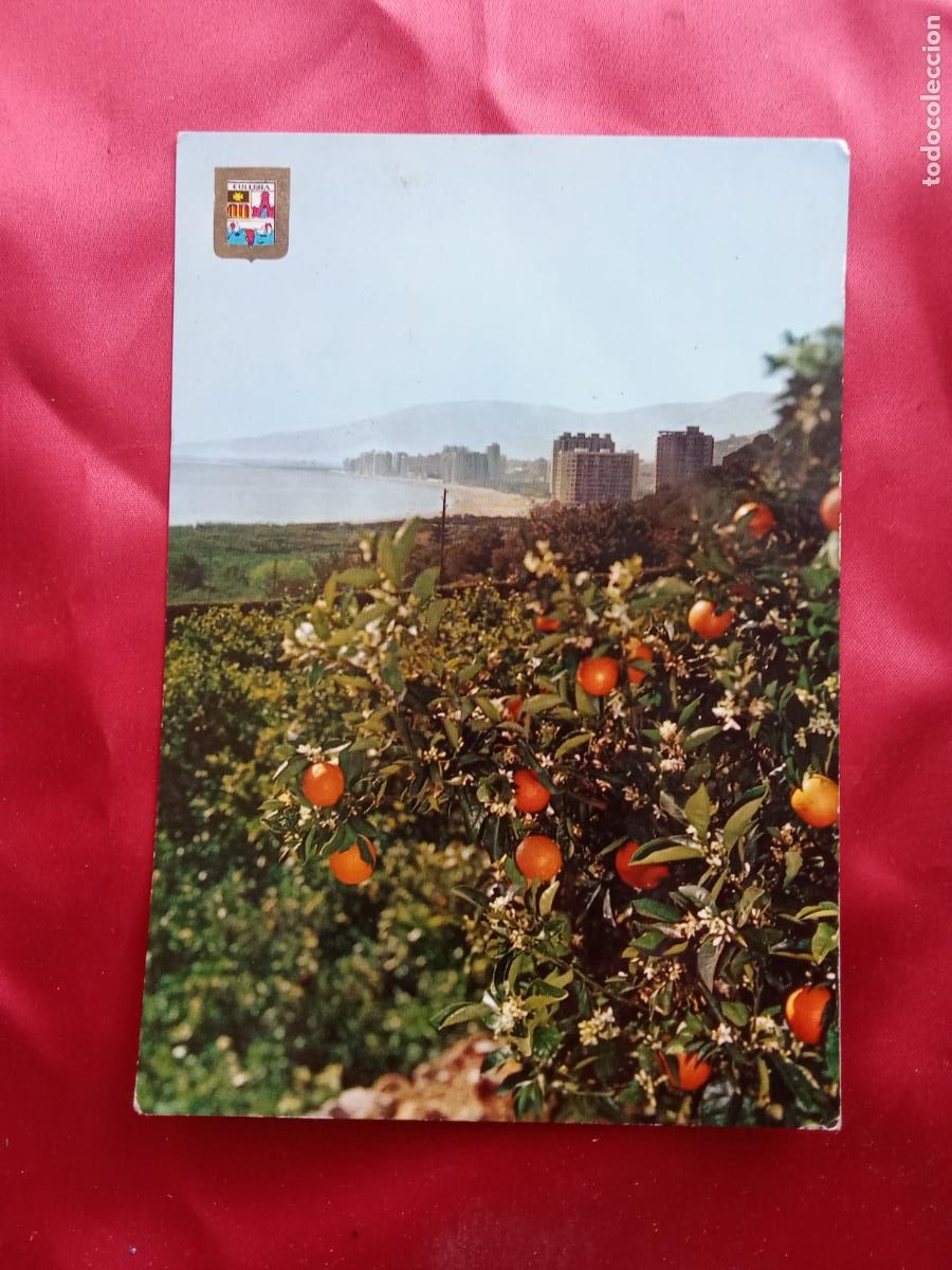 Postales: Postal Cullera (Valencia) - Playa y Naranjos P.1197