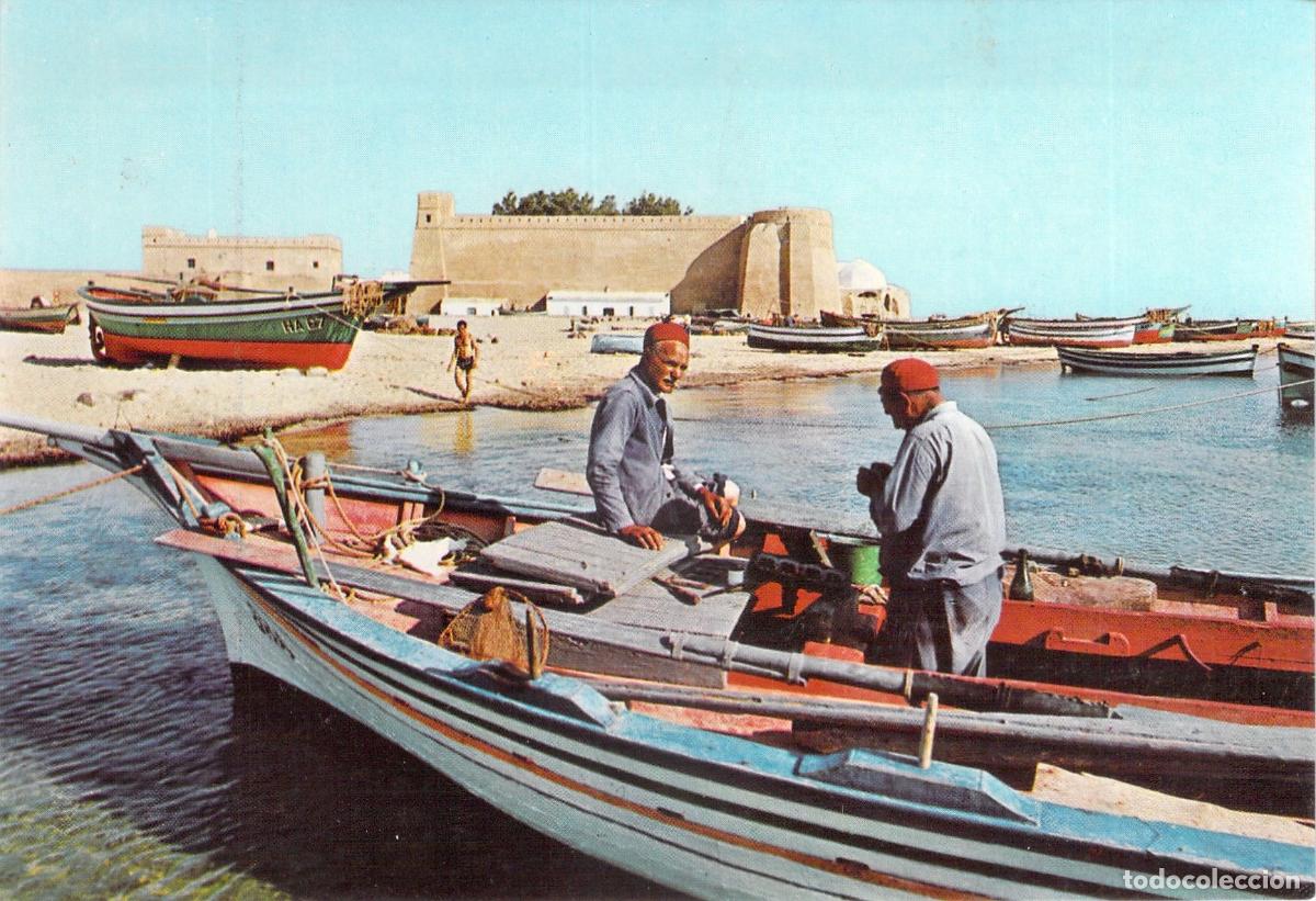 Postales: Postal de Hammamet T&uacute;nez Pescadores en la Costa