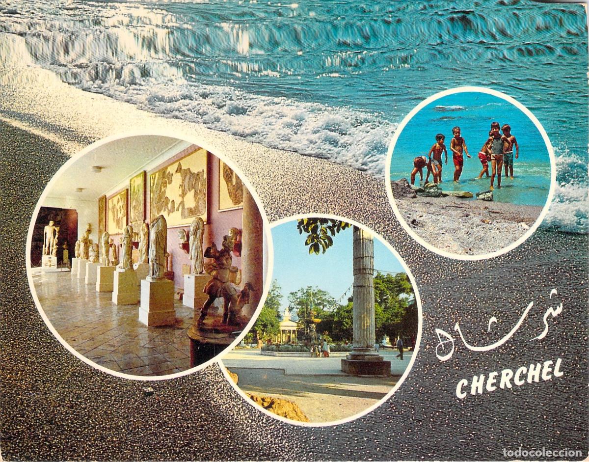 Postales: Postal de Cherchel Argelia Vistas del Museo y Costa