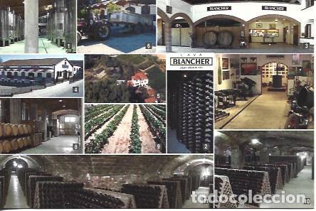 Postcards: POSTAL PULICITARIA A7180: Cava Blancher