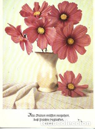 Postales: POSTAL A7437: Maceta con cita de Goethe