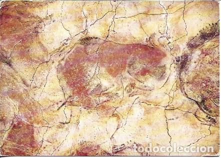 Postales: POSTAL A7462: Bisonte echado de las Cuevas de Altamira