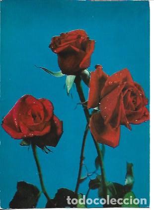 Postcards: POSTAL A7429: Rosas rojas