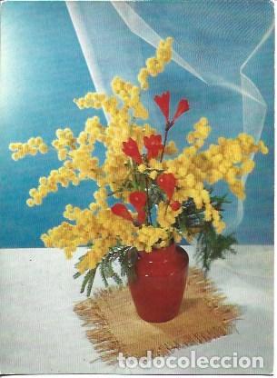 Postcards: POSTAL A7431: Mimosa y fresia