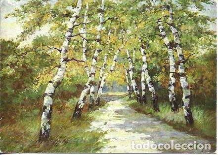Postais: POSTAL A7614: Birkenallee, por Willi Krug