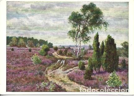 Postcards: POSTAL A7636: Septemberwind, por Ernst Frommhold