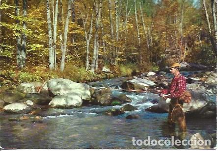 Postcards: POSTAL A7714: Pescador