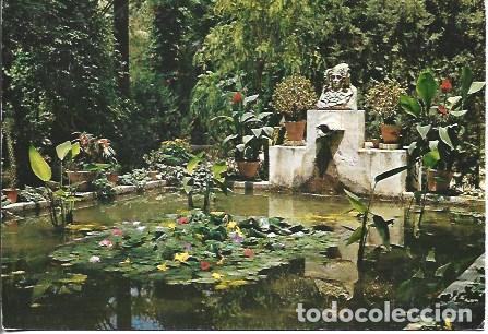 Postais: POSTAL A7753: Huerto del Cura en Elche