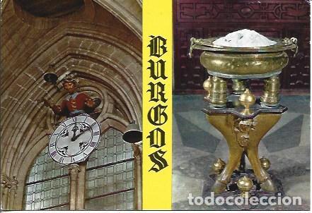 Postais: POSTAL A7763: Papamoscas de Burgos