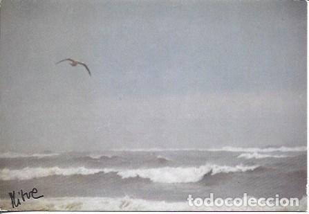 Postales: POSTAL A7803: L. Mibre. Fotografia