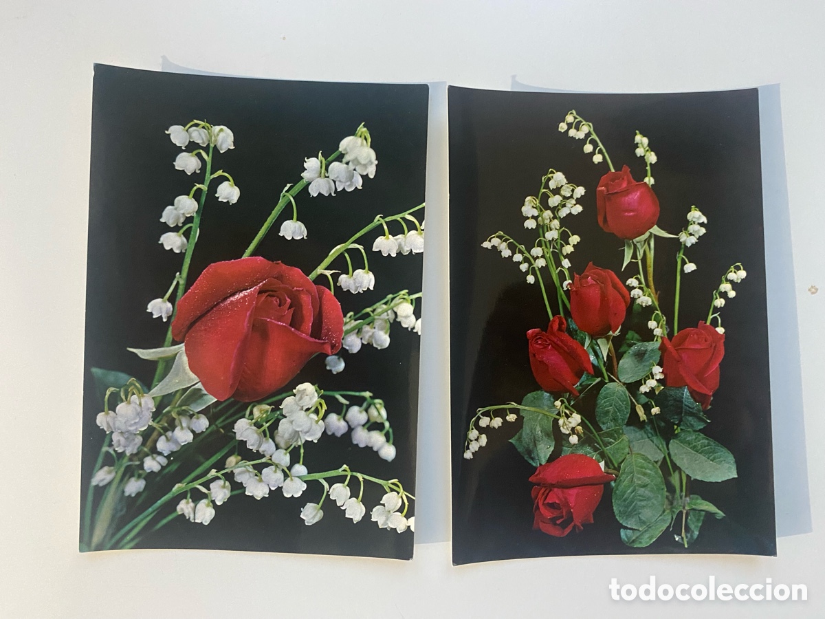 Postales: Lote de 2 postales vintage de fotograf&iacute;a floral &ndash; Ediciones BV