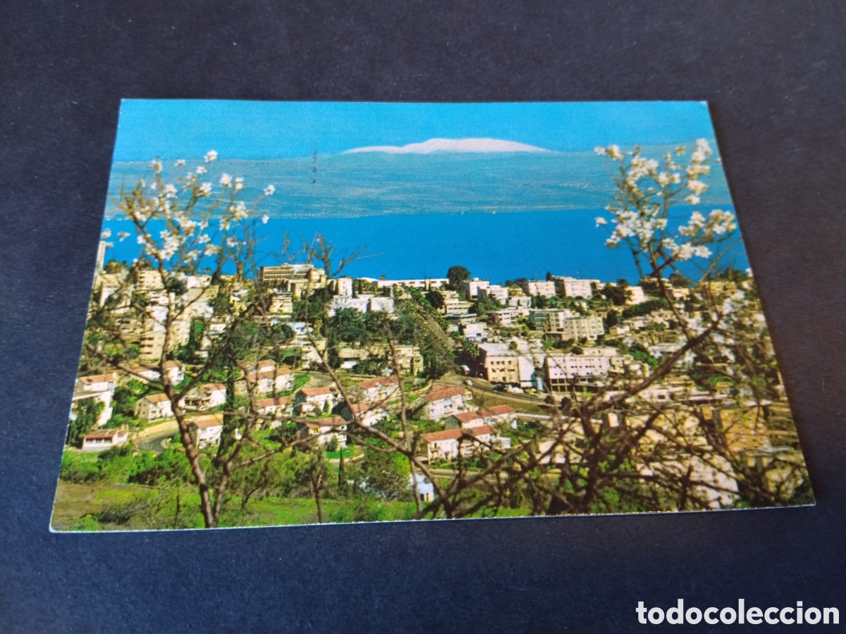 Postales: Postal Tuber&iacute;as , Partial View Lake of galilee and MT.Hermon