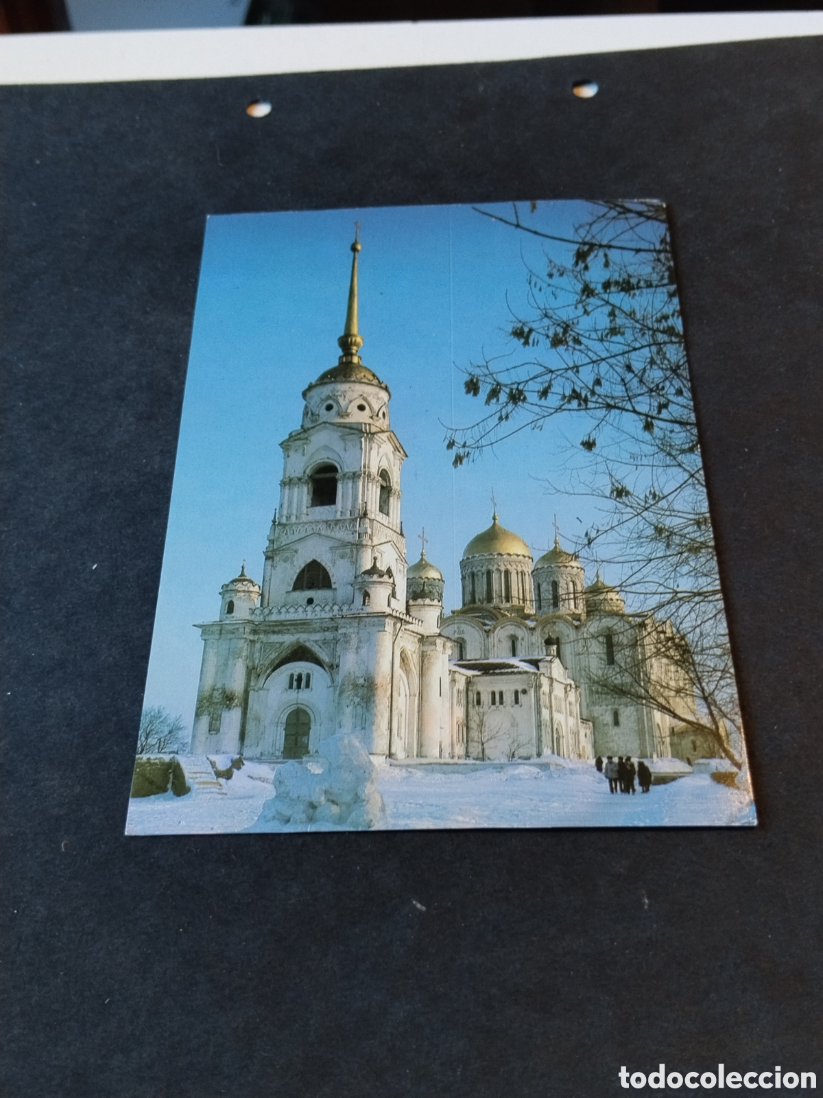 Postales: Postal Catedral de La Asunciom