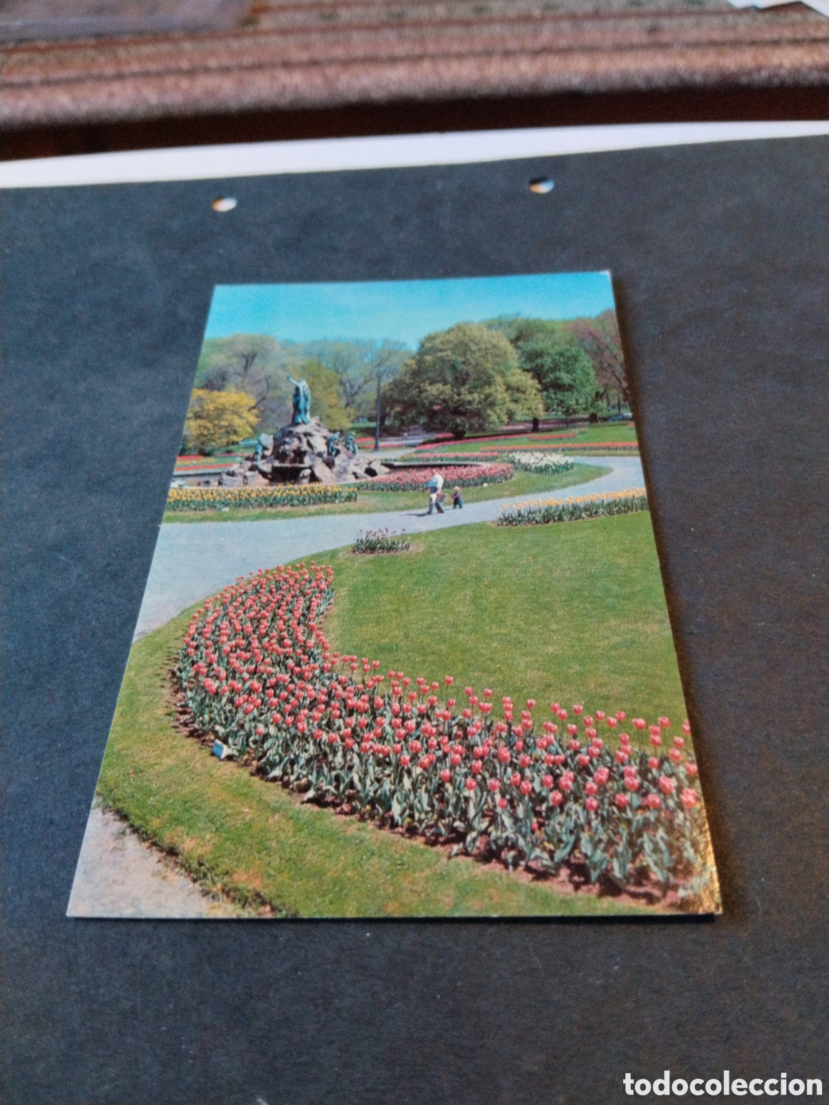 Postales: Postal Julios at Washington Park