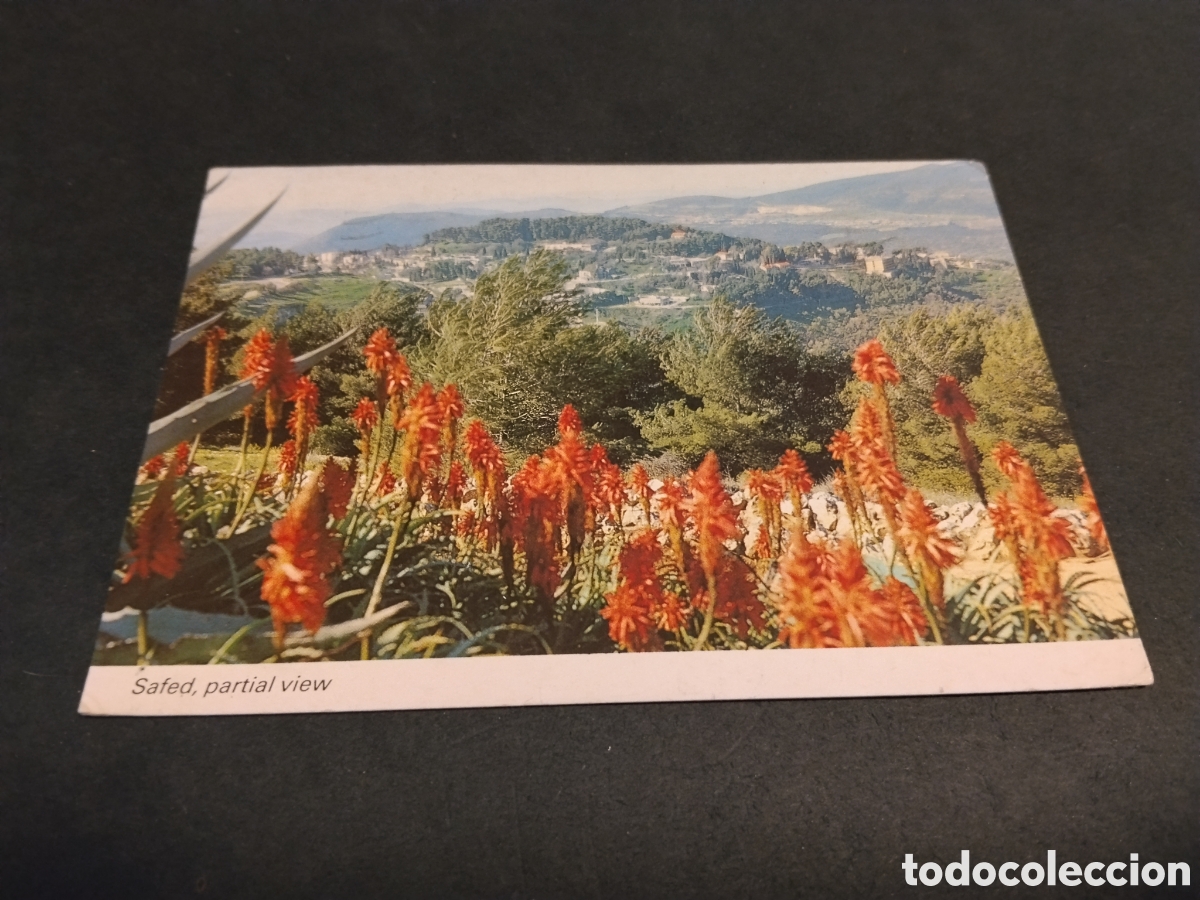 Postales: Postal Safed , Partial view