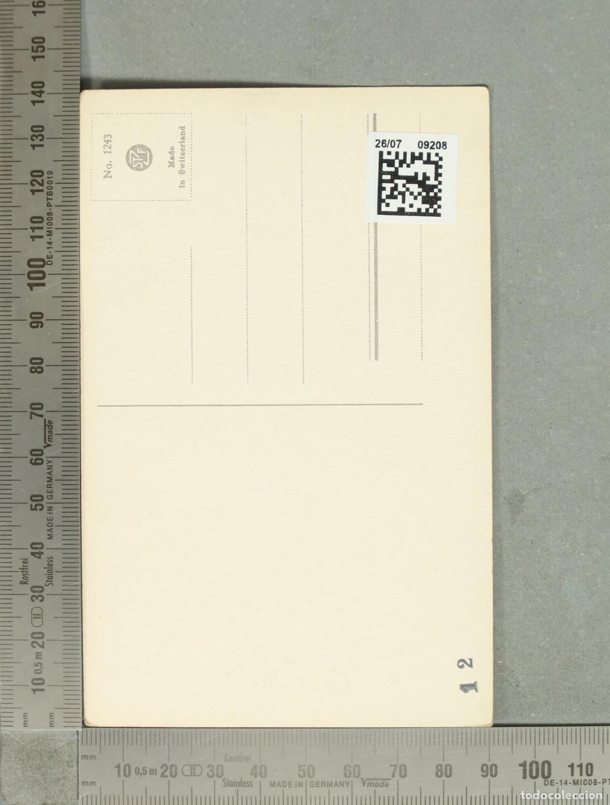 Postales: POSTAL. Rosas - Catharina Klein - Foto 2