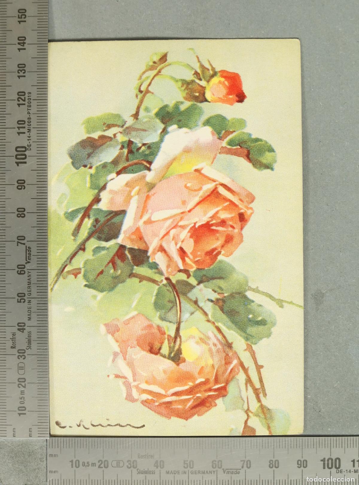 Postales: POSTAL. Rosas - Catharina Klein