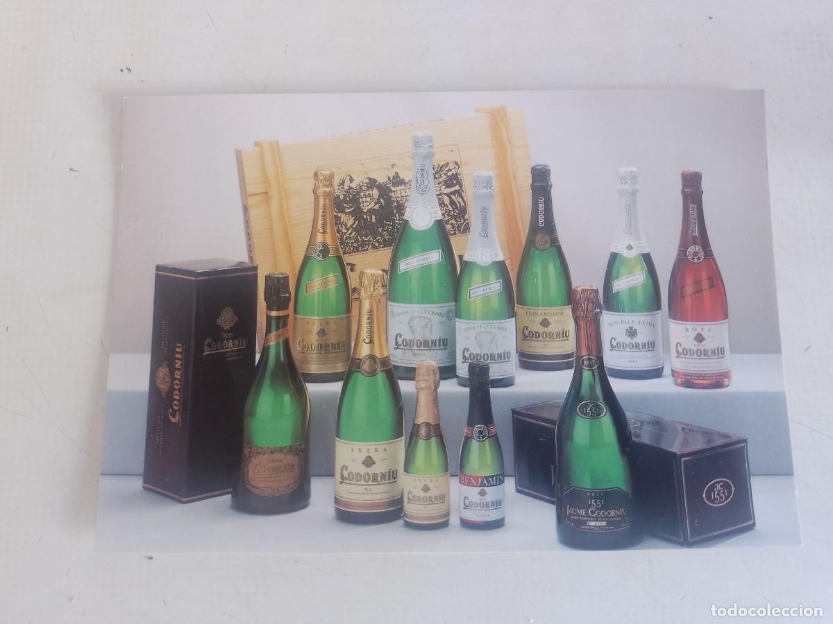 Postales: Postal tarjeta de presentaci&oacute;n codorniu