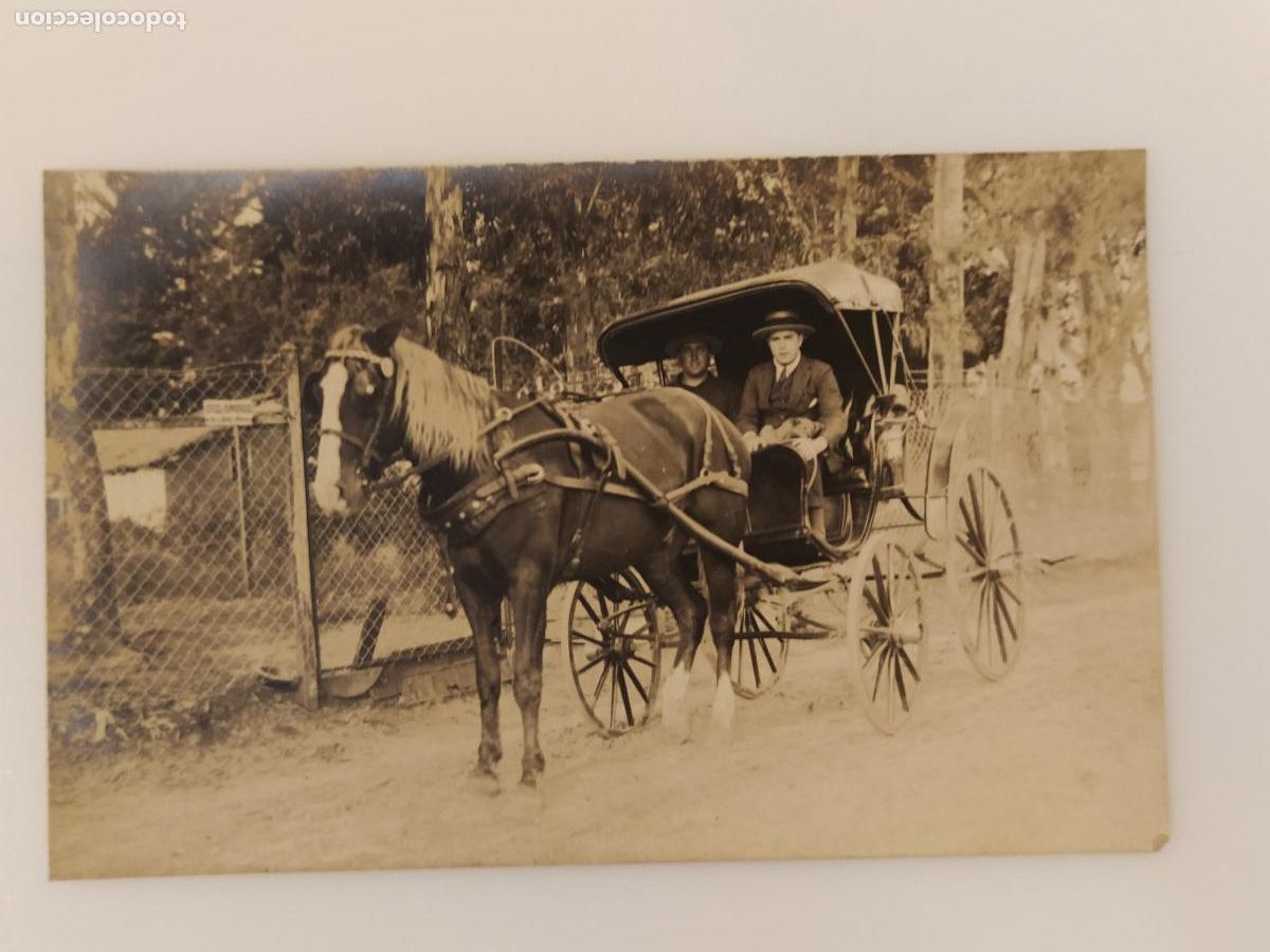 Postales: CARROZA DE CABALLOS - LUGAR SIN IDENTIFICAR - FOTOGRAFICA - POSTAL ANTIGUA -(116.688)