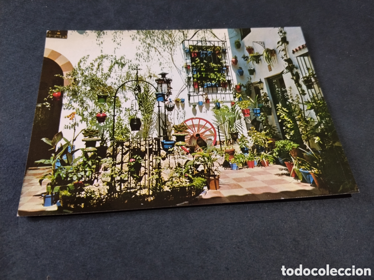 Postales: Postal Espa&ntilde;a Es Diferente , T&iacute;pico patio Andaluz