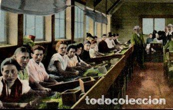 Postales: POSTAL PV09961: Escojedoras de cafe, Costa Rica