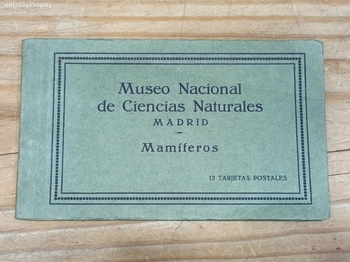 Postales: Museo Nacional de Ciencias Naturales de Madrid: Mam&iacute;feros