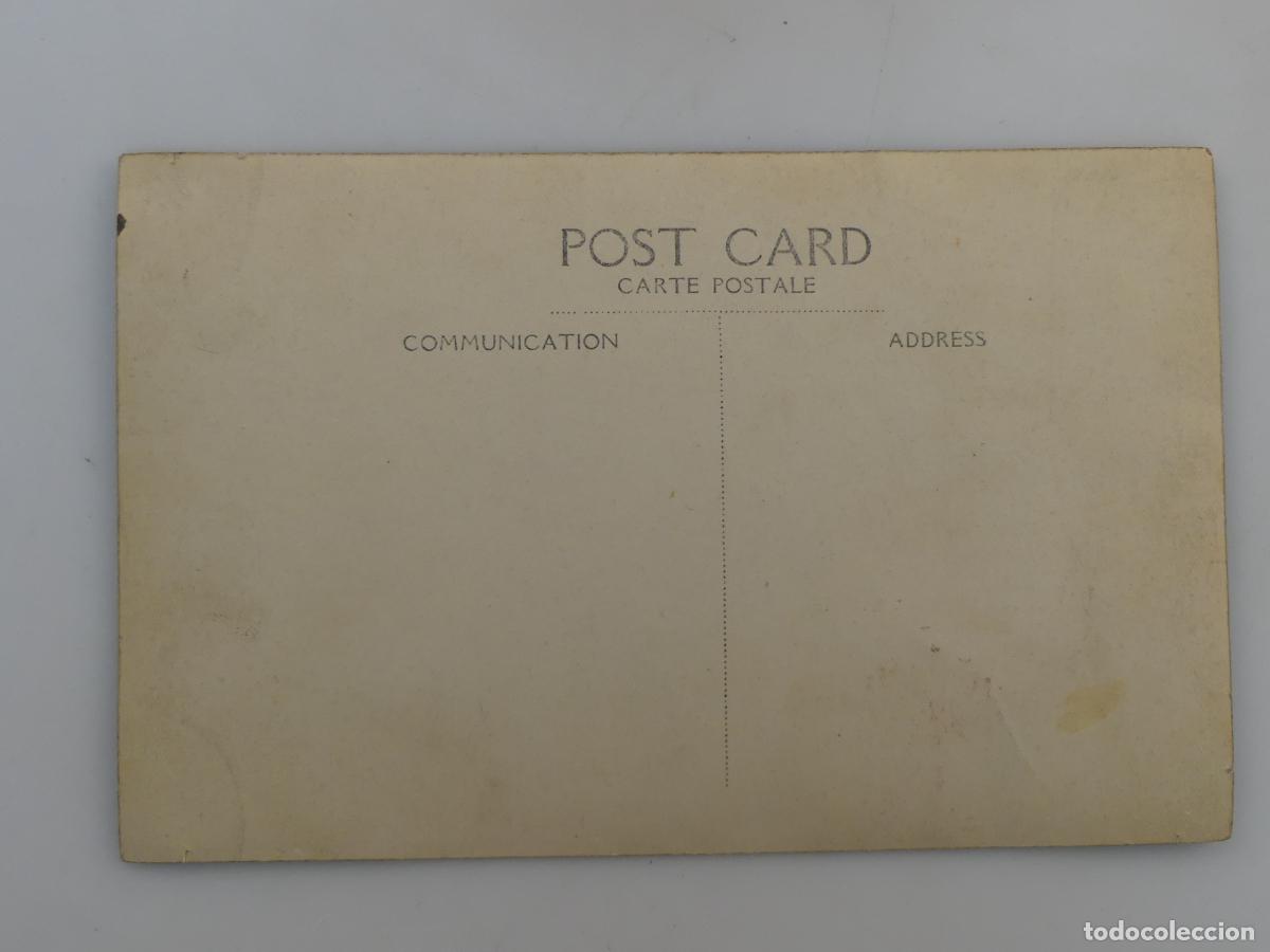 Postales: ANTIGUA TARJETA POSTAL -TORO -- REF: T101 - Foto 4