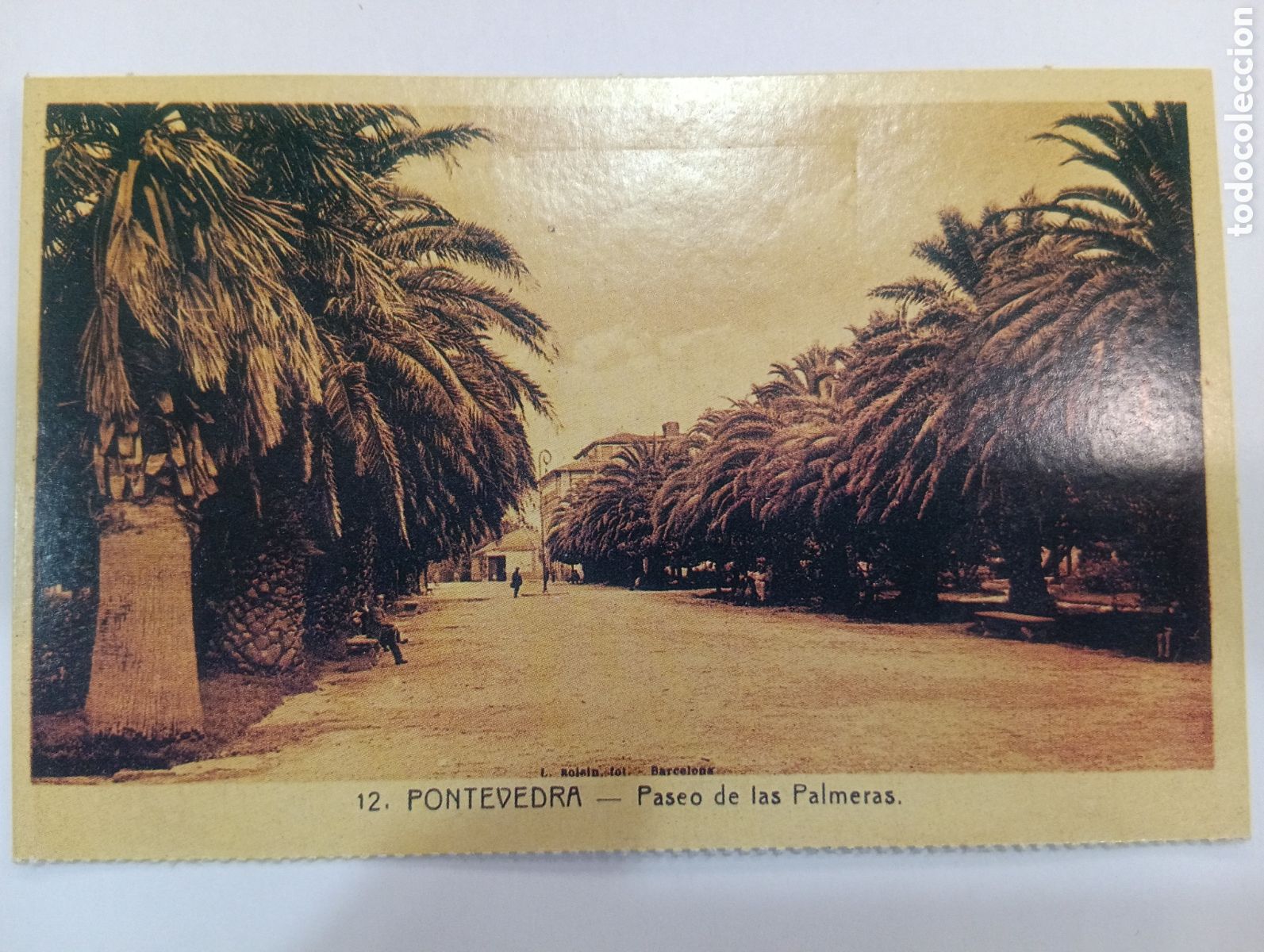 Postales: Tarjeta postal. El progreso. Pontevedra. Paseo de las palmeras