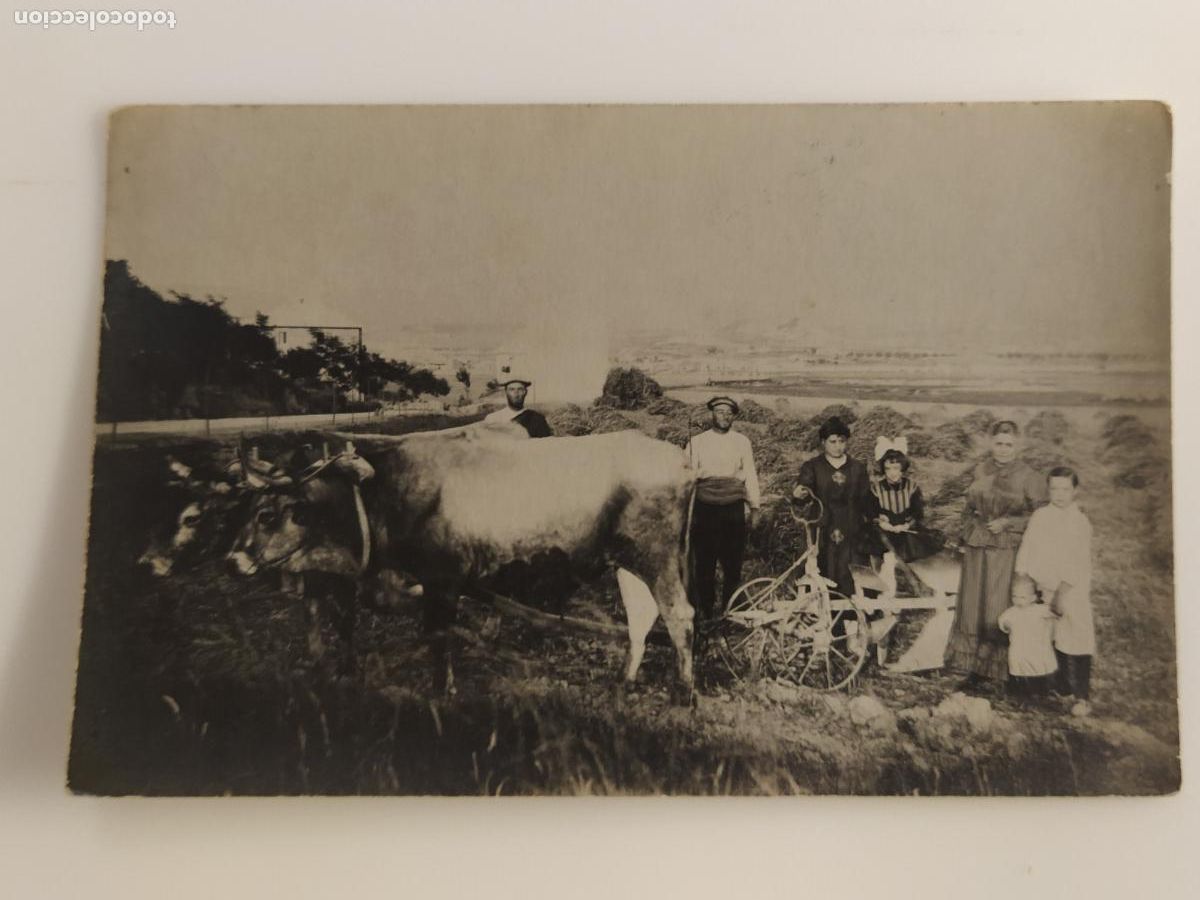 Postales: LUGAR SIN IDENTIFICAR - FAMILIA RURAL JUNTO A SUS BUEYES - FOTOGRAFICA - POSTAL ANTIGUA - (116.754)