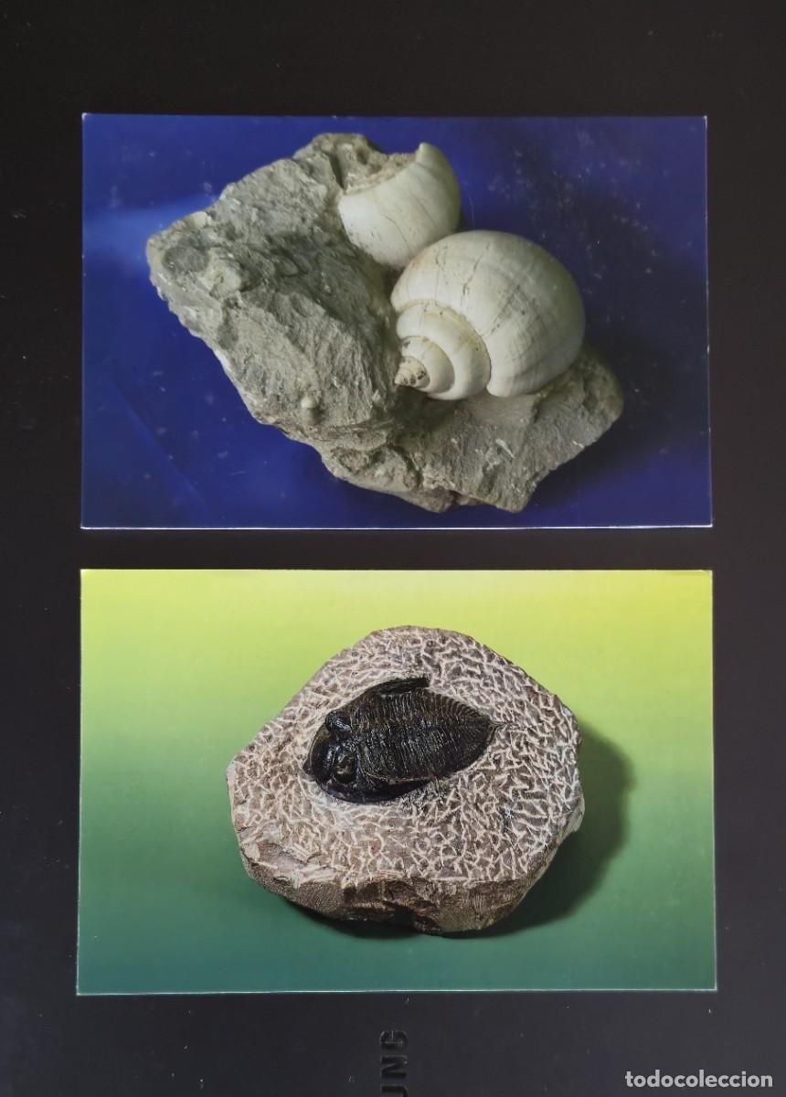 Postales: 2 POSTALES EXPOSICIONES CIENCIAS NATURALES - Foto 1