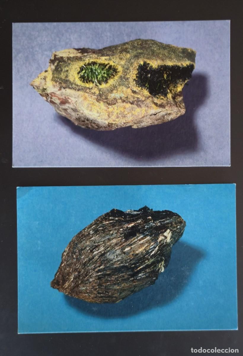 Postcards: 2 POSTALES EXPOSICIONES CIENCIAS NATURALES