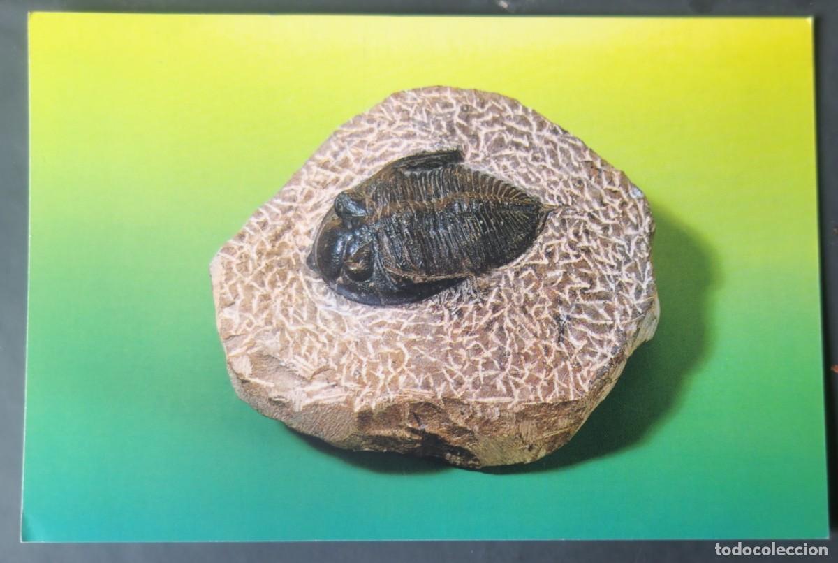 Postcards: POSTAL EXPOSICION CIENCIAS NATURALES