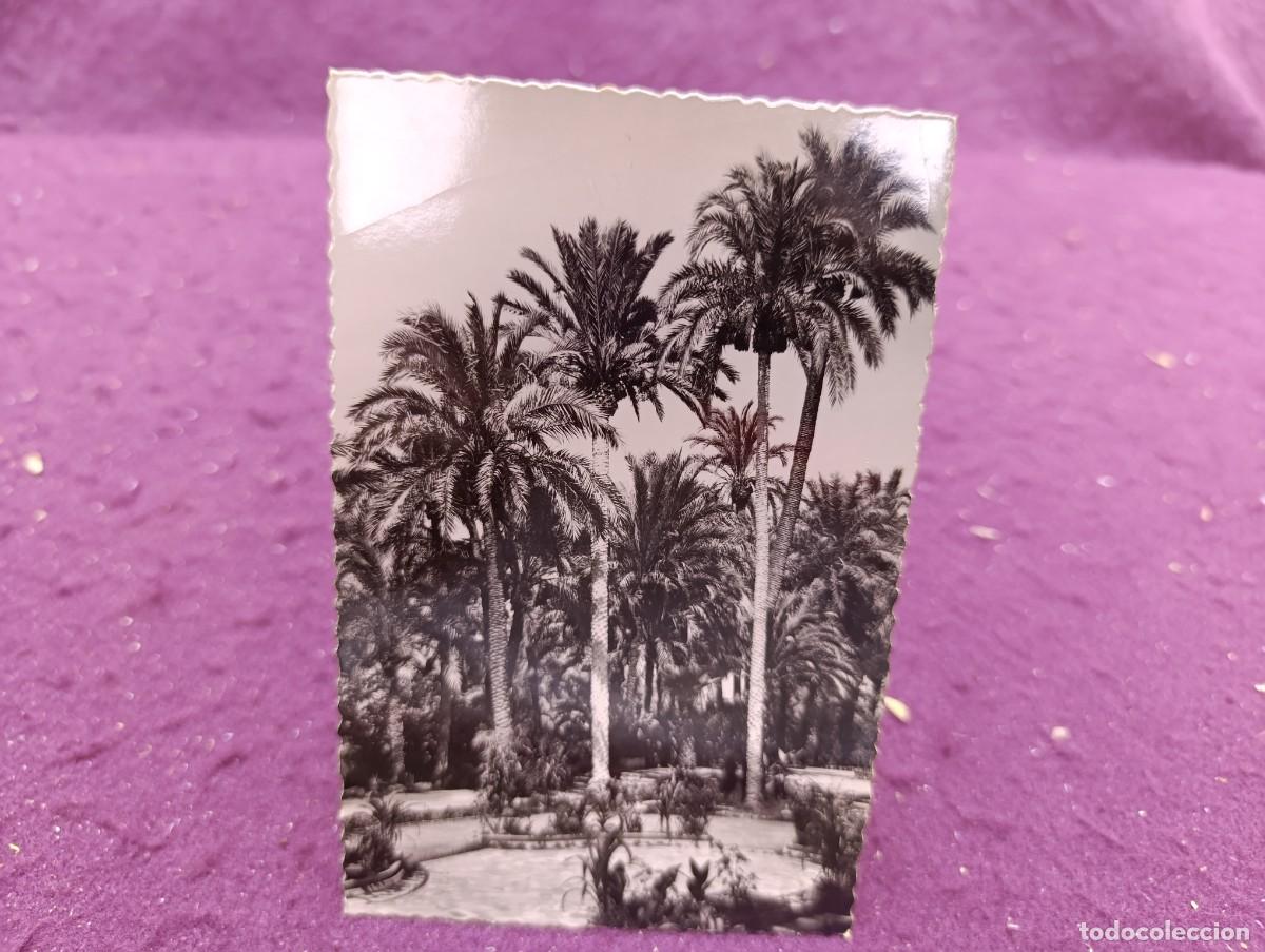 Postais: Postal, antigua o vintage, Elche, G. Garrabella