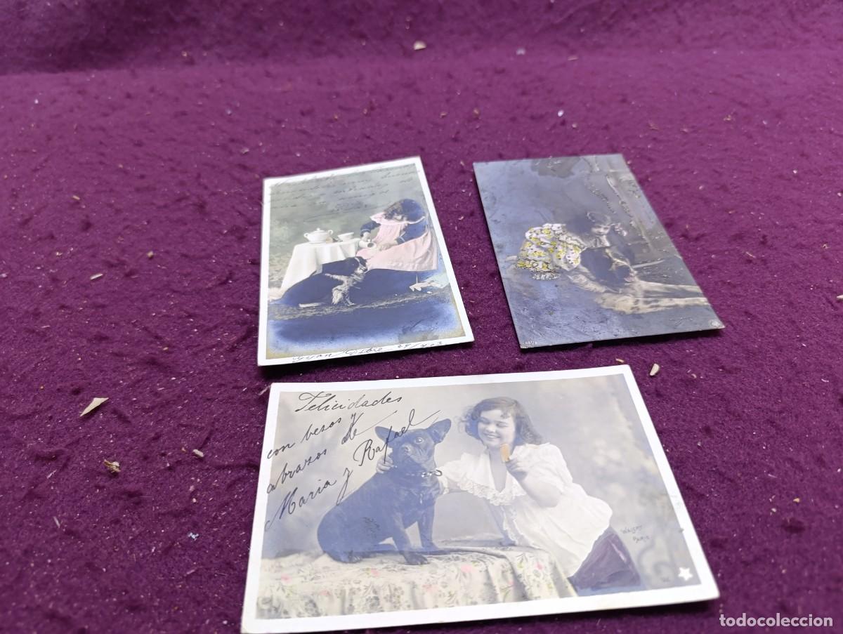 Postales: Lote de 3 Postales, Antiguas o Vintage, Ni&ntilde;as con Perros, varios editores, unos 14 x 9 cms.