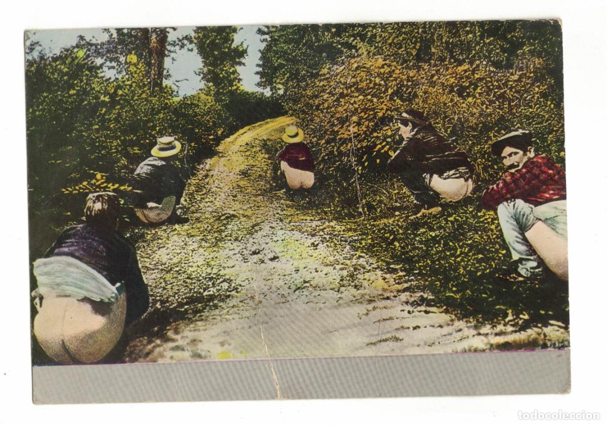 Postales: Postal humor&iacute;stica francesa Promenade sous bois Les effets des eaux Apapoux Albi a&ntilde;os 50