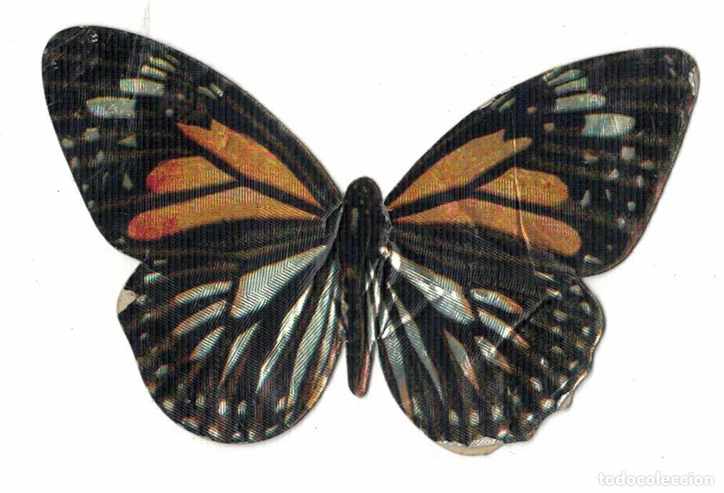 Postales: Cromo recortable mariposa n&ordm; 23 Danaidea tigrins Panrico a&ntilde;os 70‑80 colecci&oacute;n Vida y Color