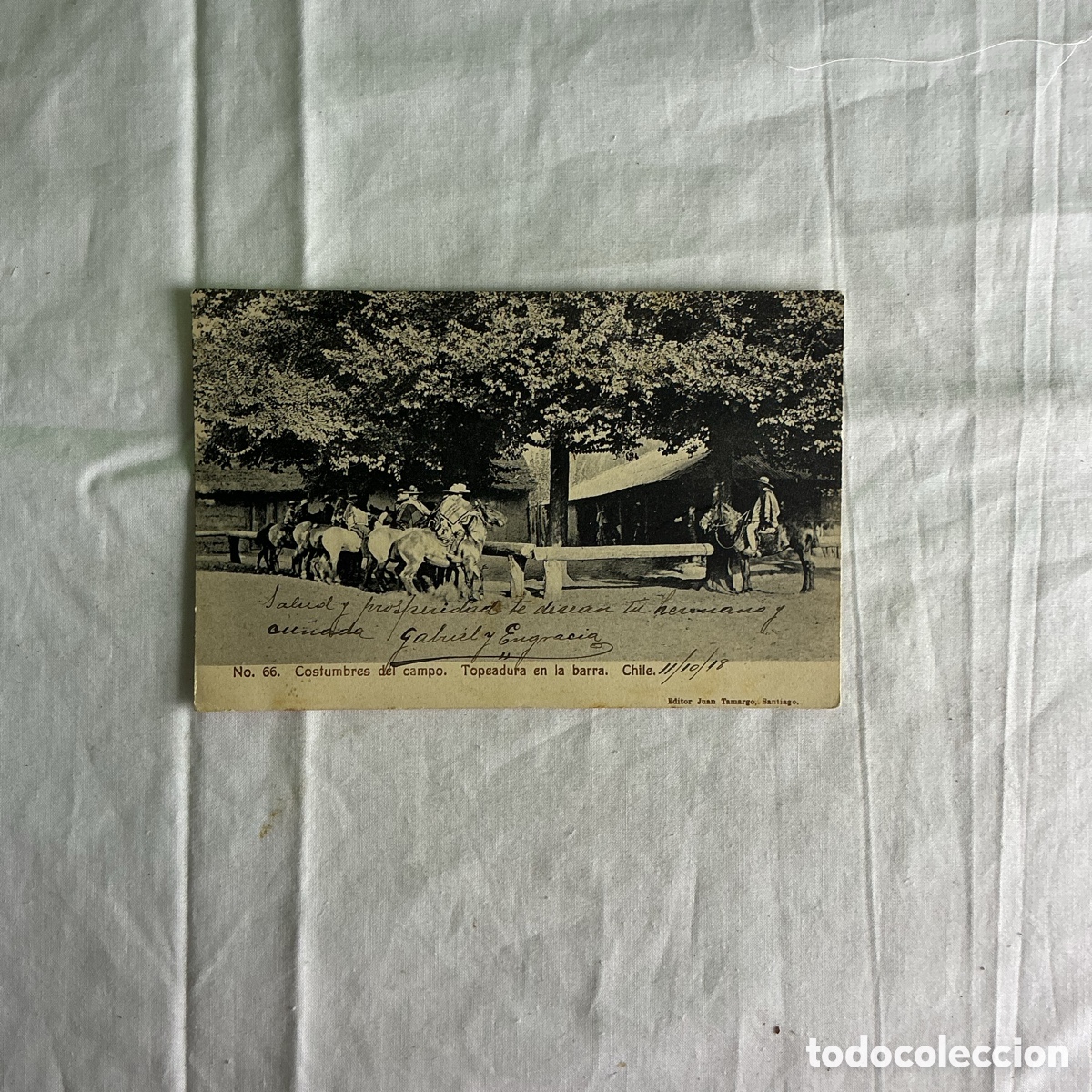 Postales: Postal antigua Chile &ndash; Costumbres del campo &ndash; Topeadura en la barra &ndash; Juan Amarg&oacute; Santiago &ndash; 1918