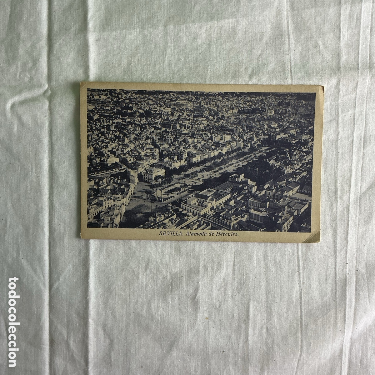 Postales: Postal antigua Sevilla &ndash; Alameda de H&eacute;rcules &ndash; Vista panor&aacute;mica &ndash; Circulada