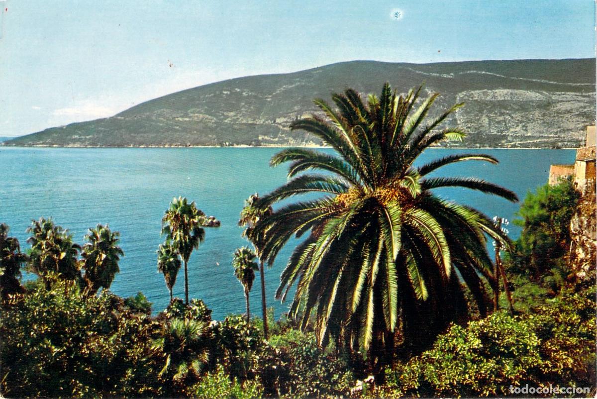 Postales: Postal de Herceg Novi Montenegro con vista al mar y palmeras