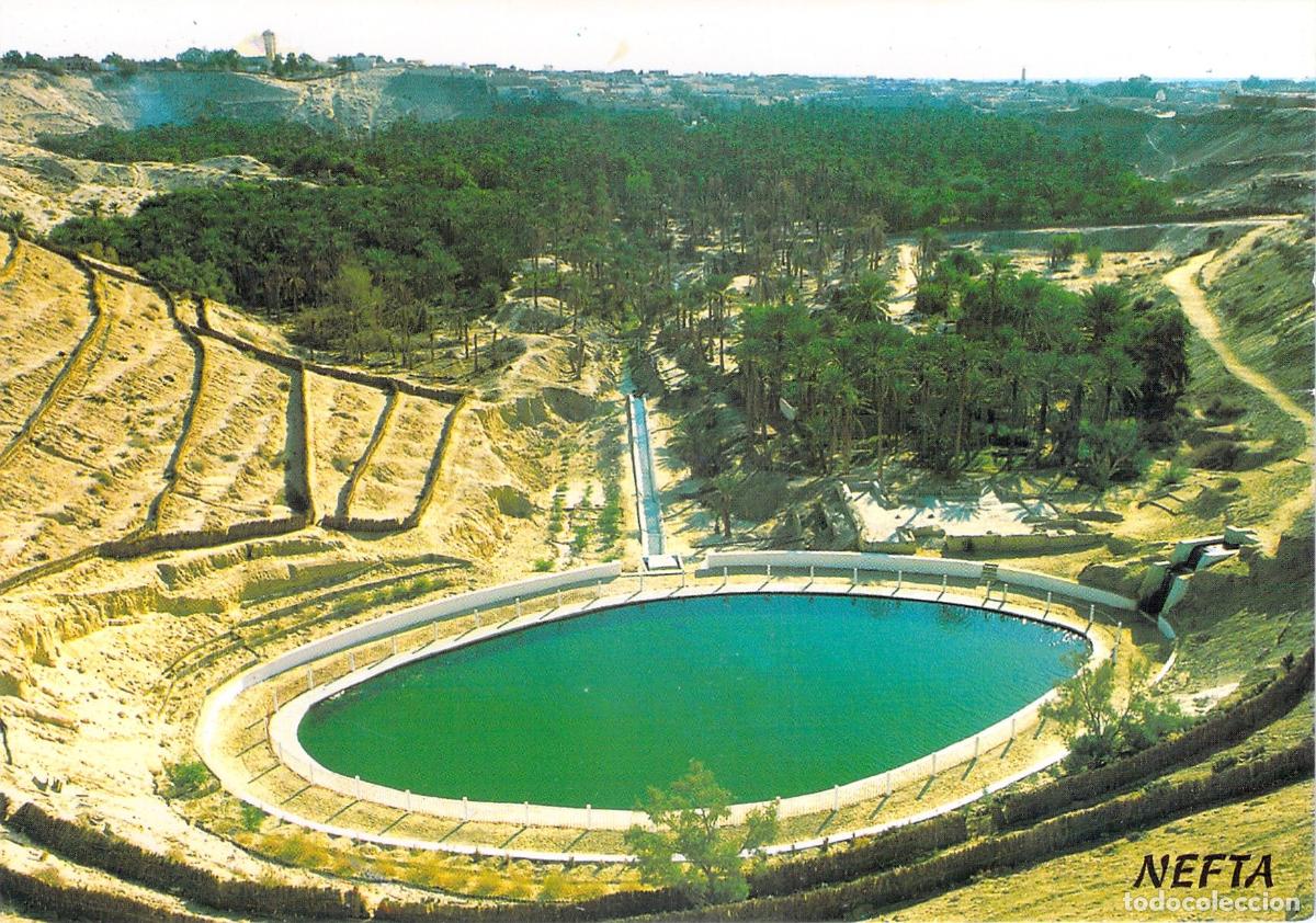 Postales: Postal de la Corbeille de Nefta, Oasis en el Desierto de T&uacute;nez