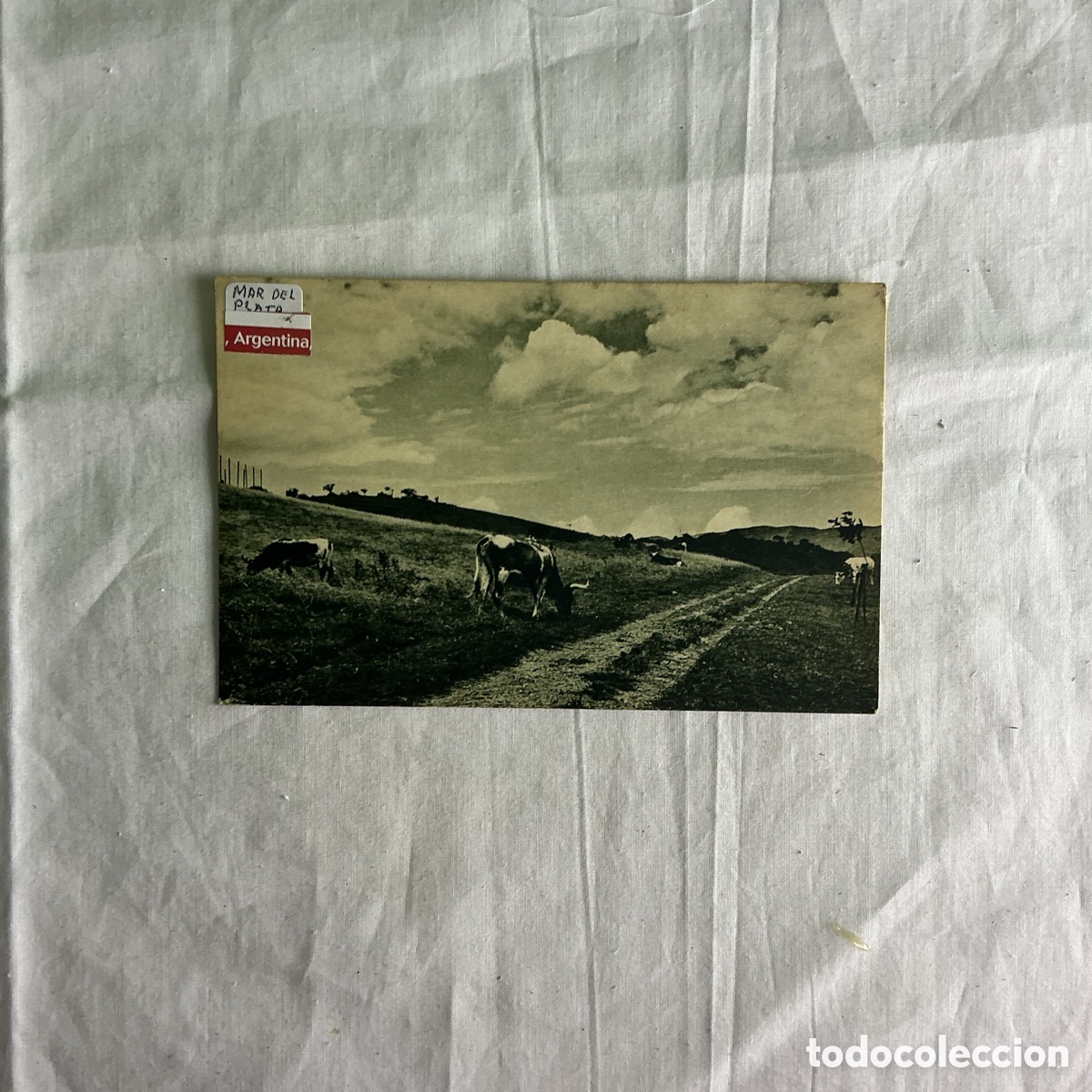 Postales: Tucum&aacute;n (Argentina) &ndash; Colinas de Raco &ndash; Postal antigua n&ordm; 101