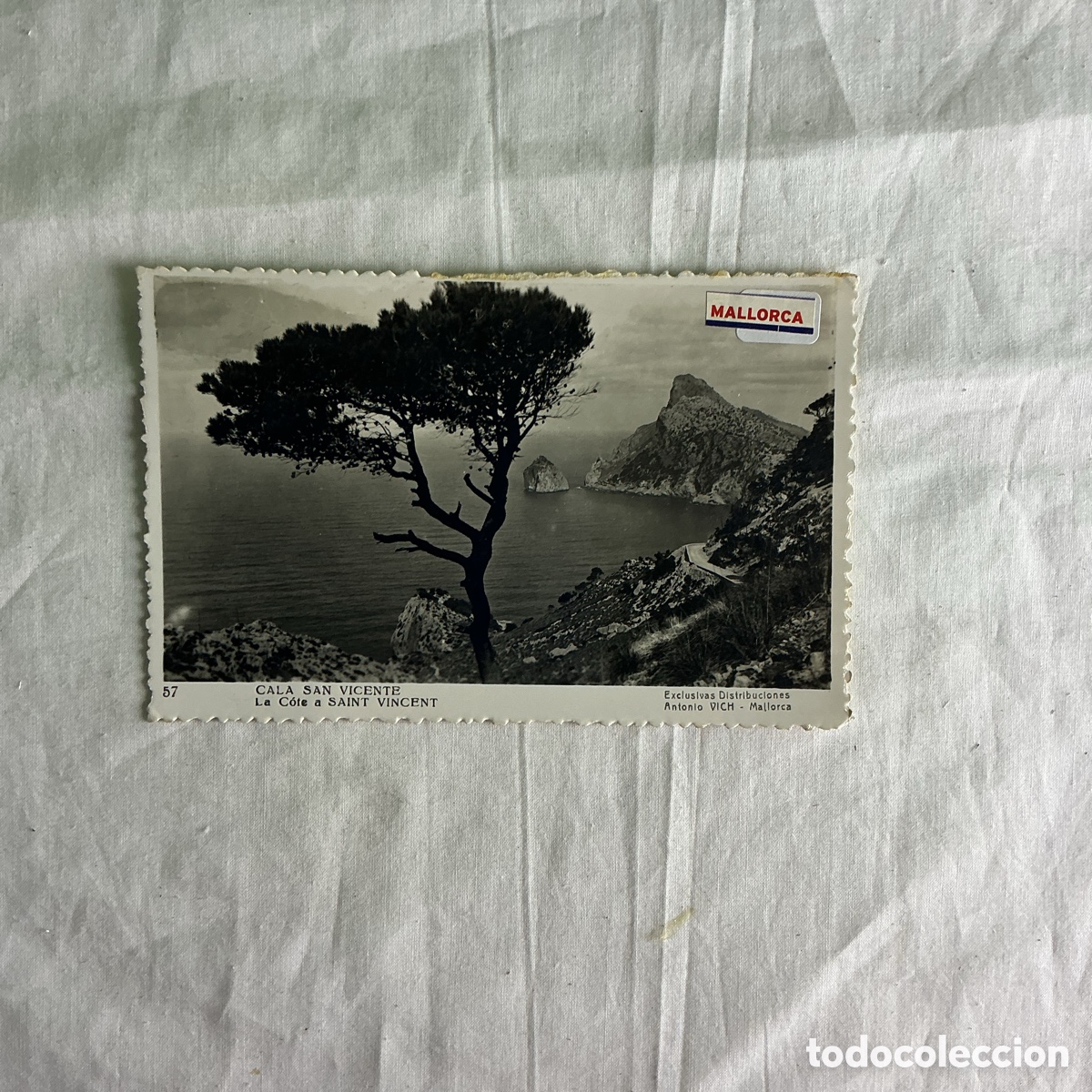 Postales: Mallorca &ndash; Cala San Vicente &ndash; Postal antigua circulada 1959