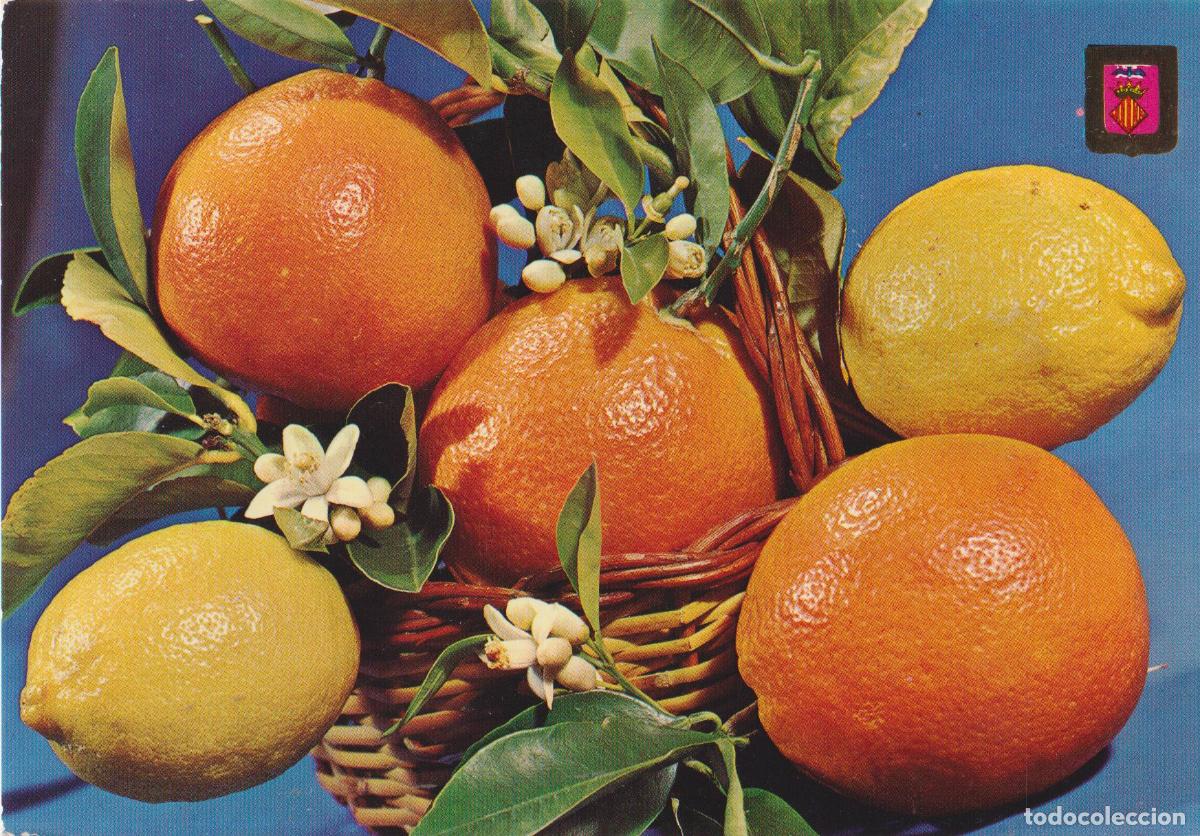 Postales: VALENCIA, NARANJAS - ESCUDO DE ORO N&ordm;874 - ESCRITA