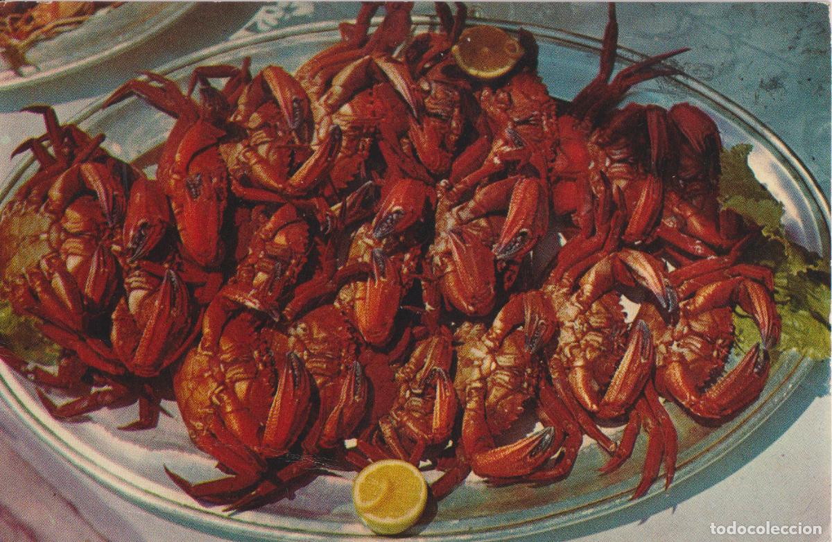 Postales: GALICIA, PLATOS T&Iacute;PICOS, NECORAS - SEIX BARRAL - CIRCULADA 1965