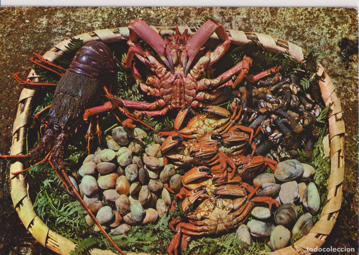 Postales: GALICIA, MARISCOS - EDICIONES ARRIBAS N&ordm;934 - S/C