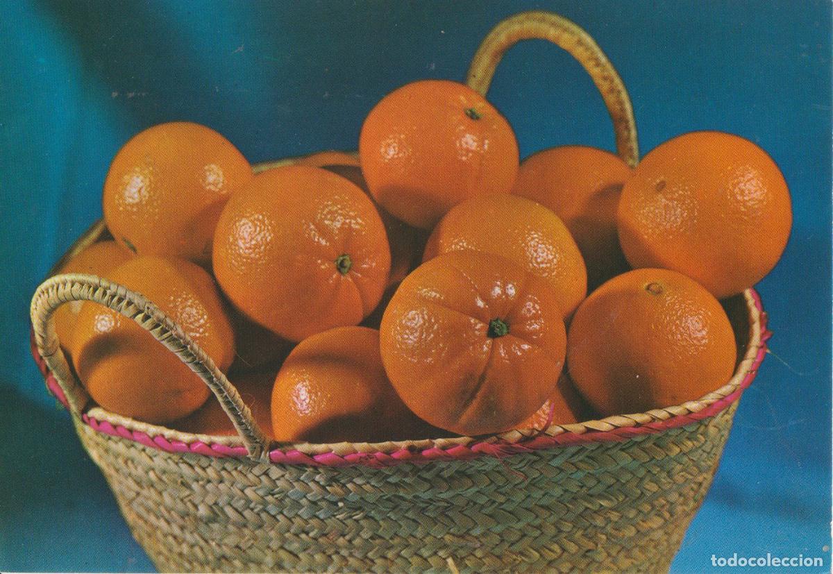 Postales: VALENCIA, NARANJAS - GARCIA GARRABELLA N&ordm;40 - S/C