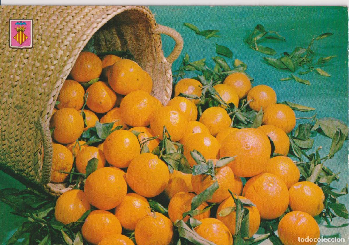 Postales: VALENCIA, NARANJAS - A.SUBIRATS N&ordm;874 - ESCRITA