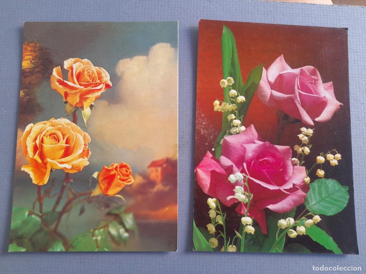 Postales: 2 postales de rosas, a&ntilde;os 60 aprox
