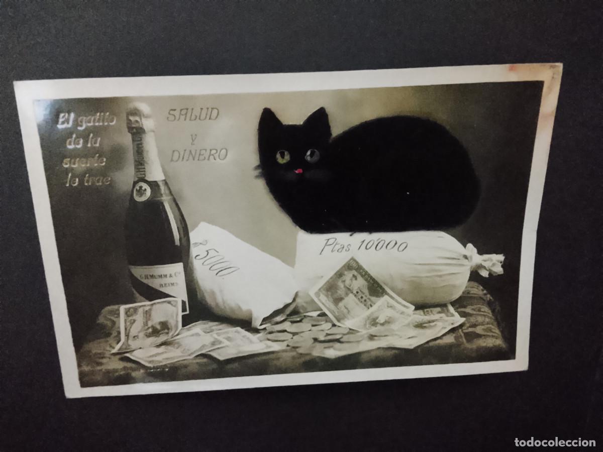 Postales: Postal El gatito de la suerte le trae salud y dinero