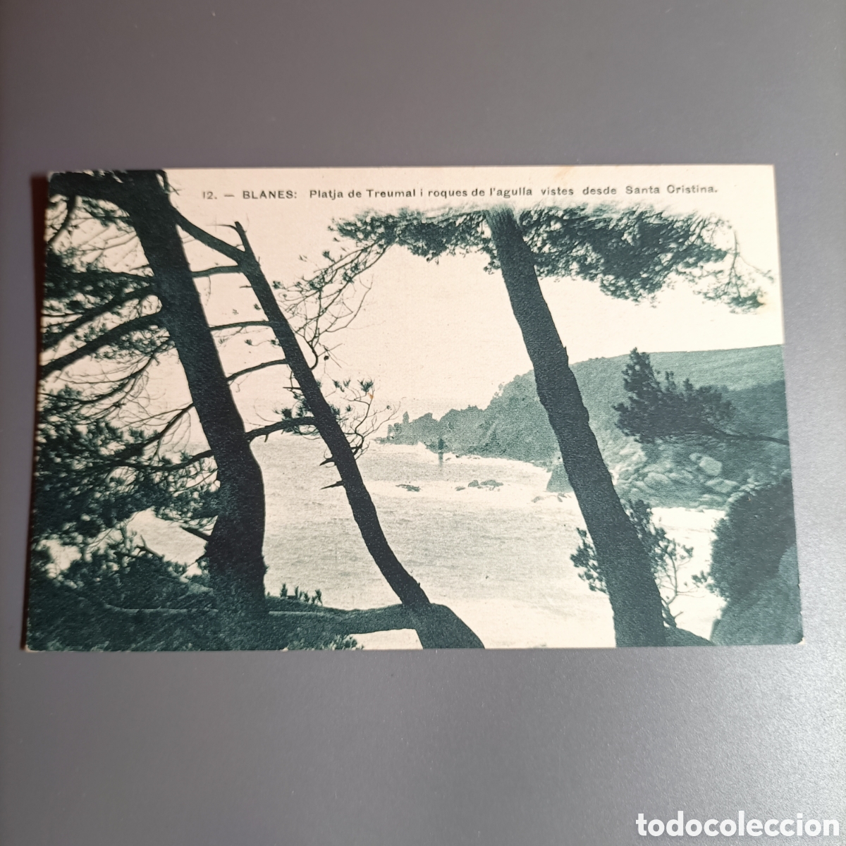 Postales: TARJETA POSTAL SIN CIRCULAR. №12 BLANES. PLATJS DE TREUNAL - Foto 1